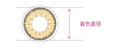 着色直径