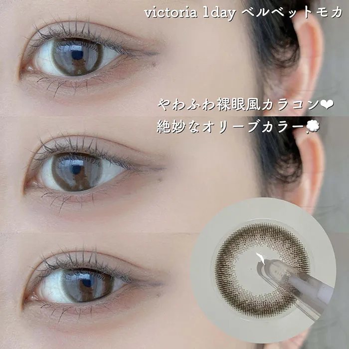 Victoria 1day ベルベットモカ