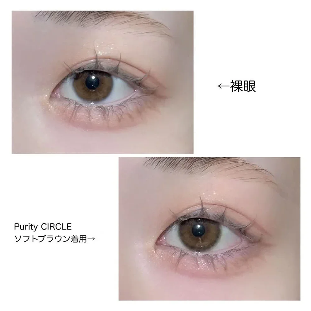 Purity CIRCLE 1day ソフトブラウン