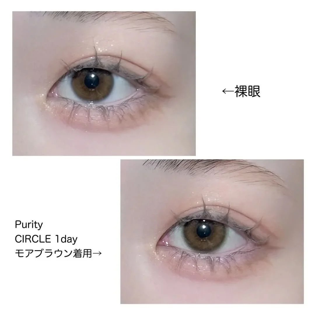 Purity CIRCLE 1day モアブラウン