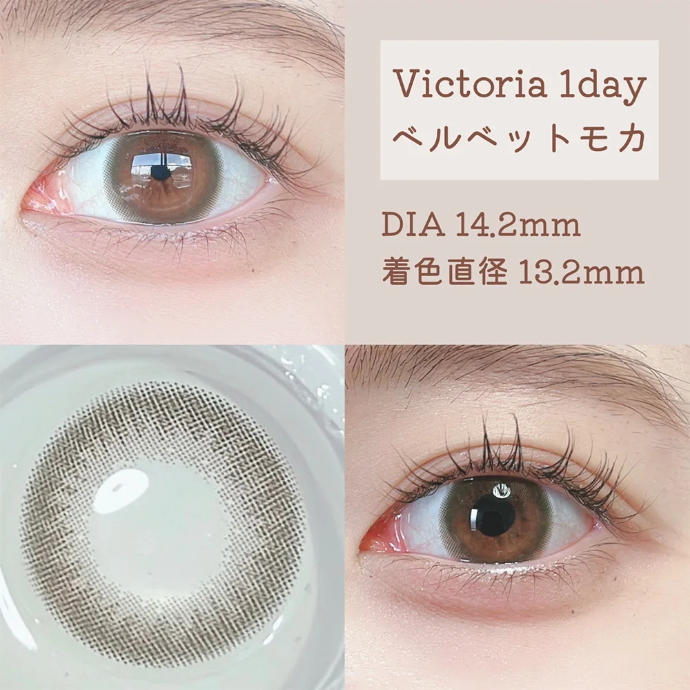 Victoria 1day ベルベットモカ