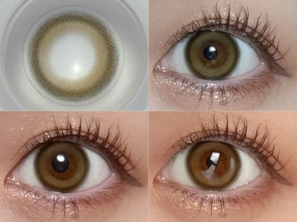 Dreamy Bear（ドリーミーベア）