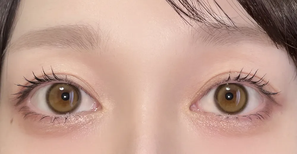 LilMe 1day/ドリーミーベア用時