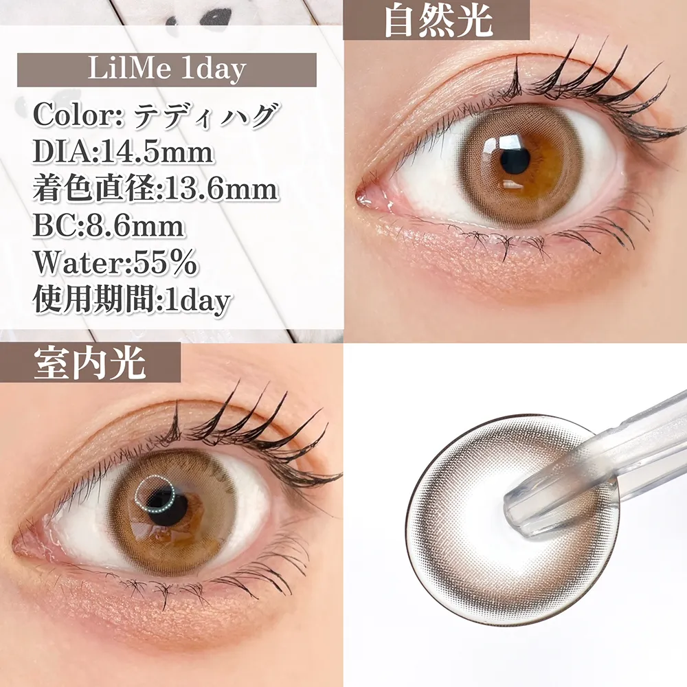 LilMe 1day/テディハグ