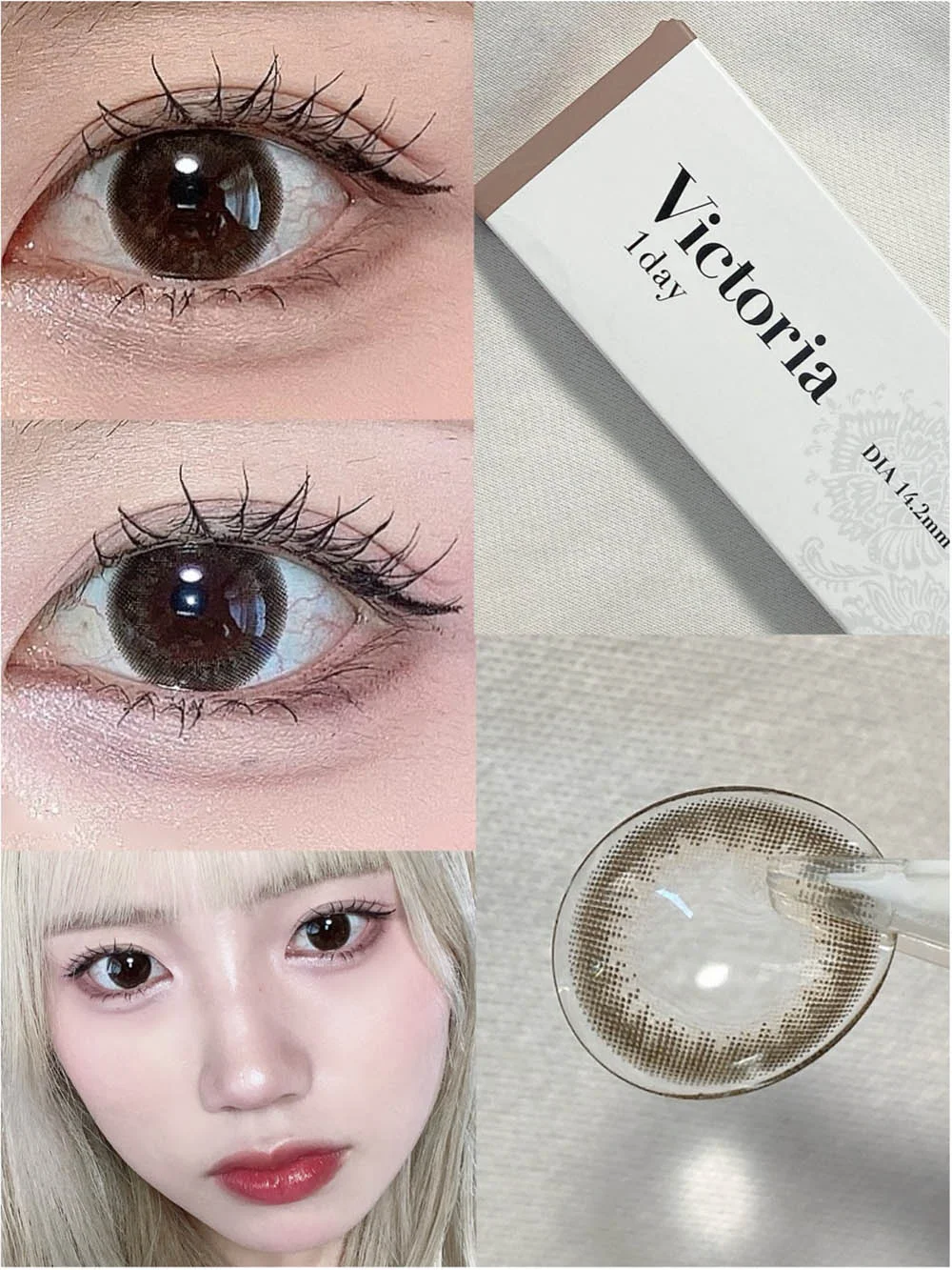Victoria 1day ピュアトレンチ