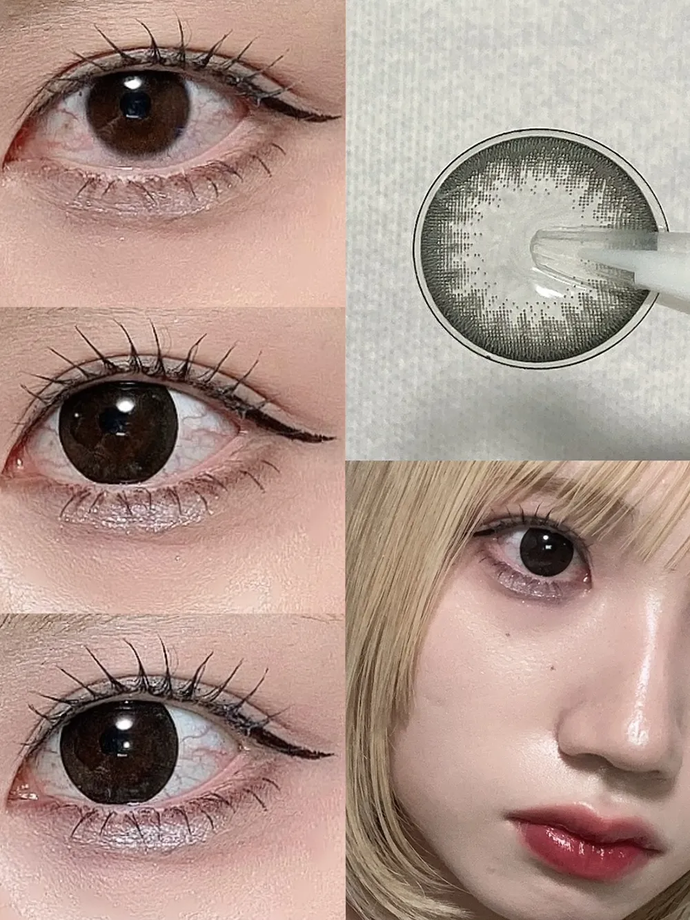 candymagic 1day ビギナーブラック