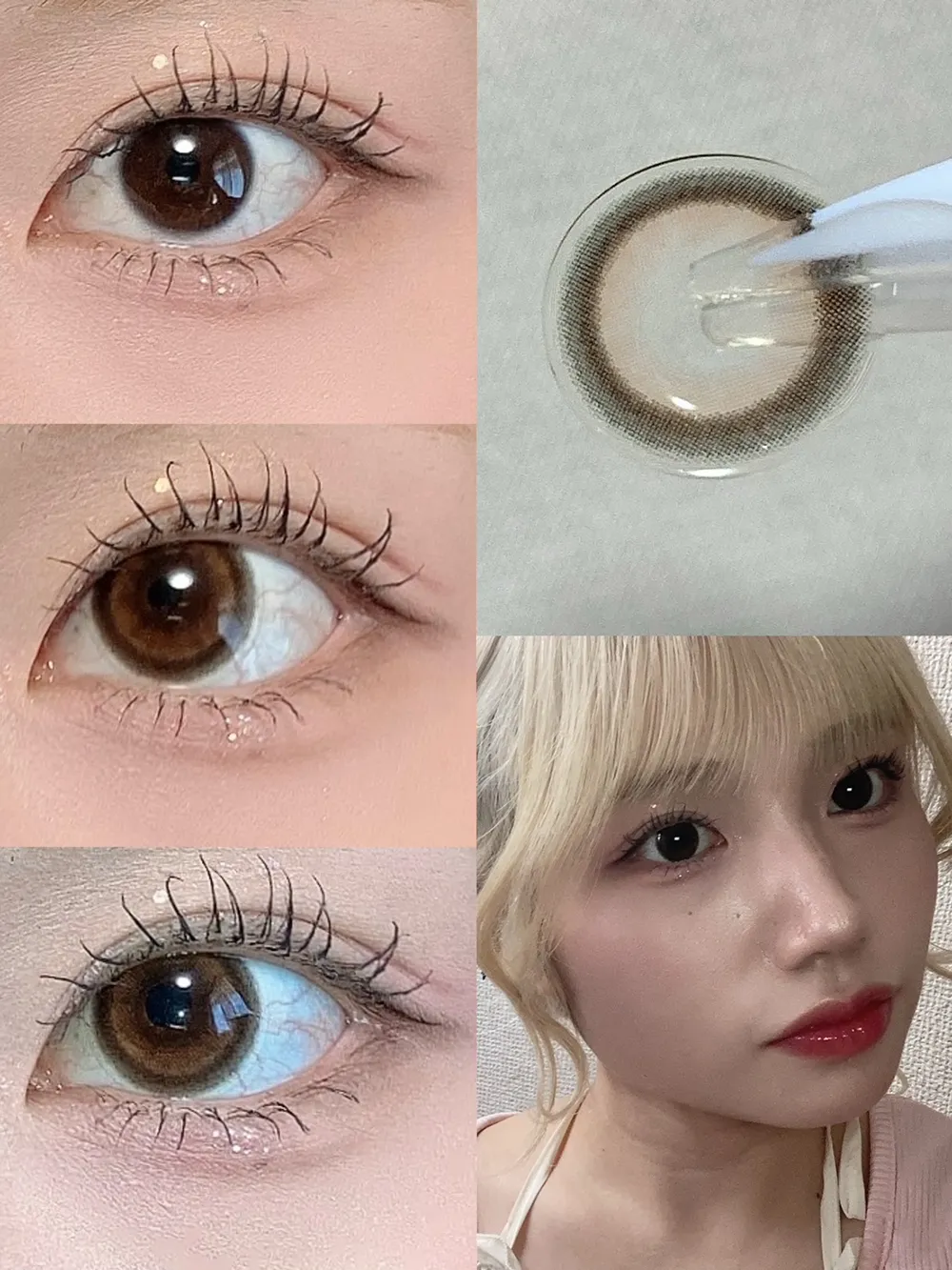 candymagic 1day ミミブラウン