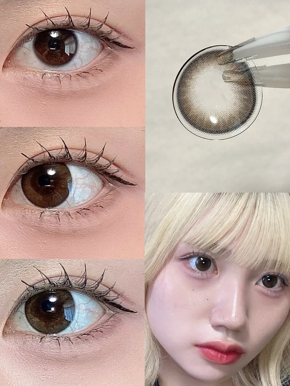 FruFru 1day ユイブラウン