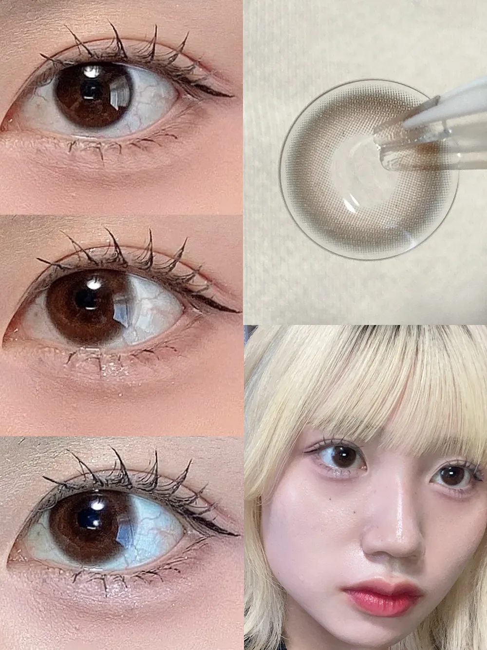 FruFru 1day ノエルブラウン