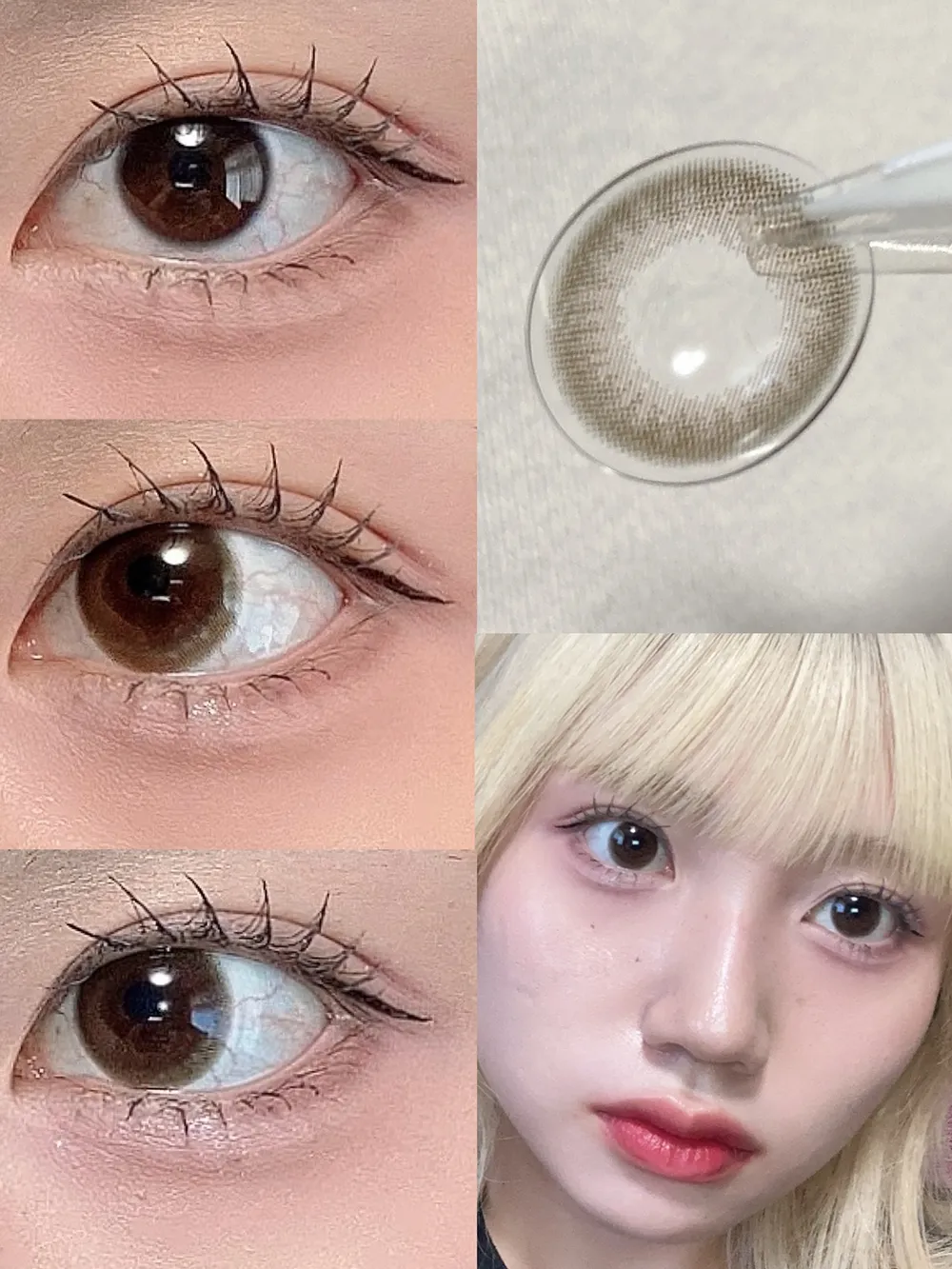 Victoria 1day ベルベットモカ