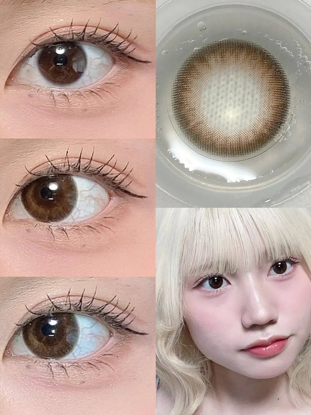 candymagic 1day マリアージュモカ