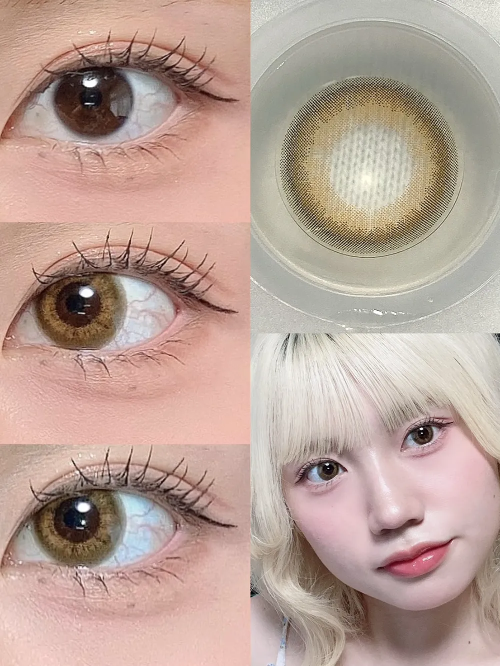 candymagic 1day アリアナヘーゼル