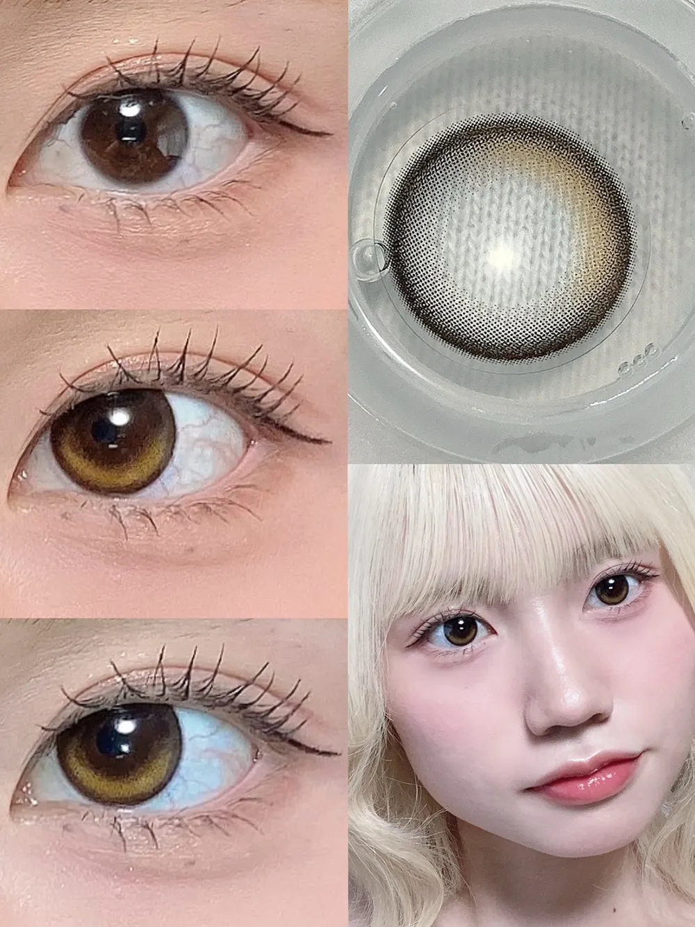 RIARIA 1day リアリーブラウン