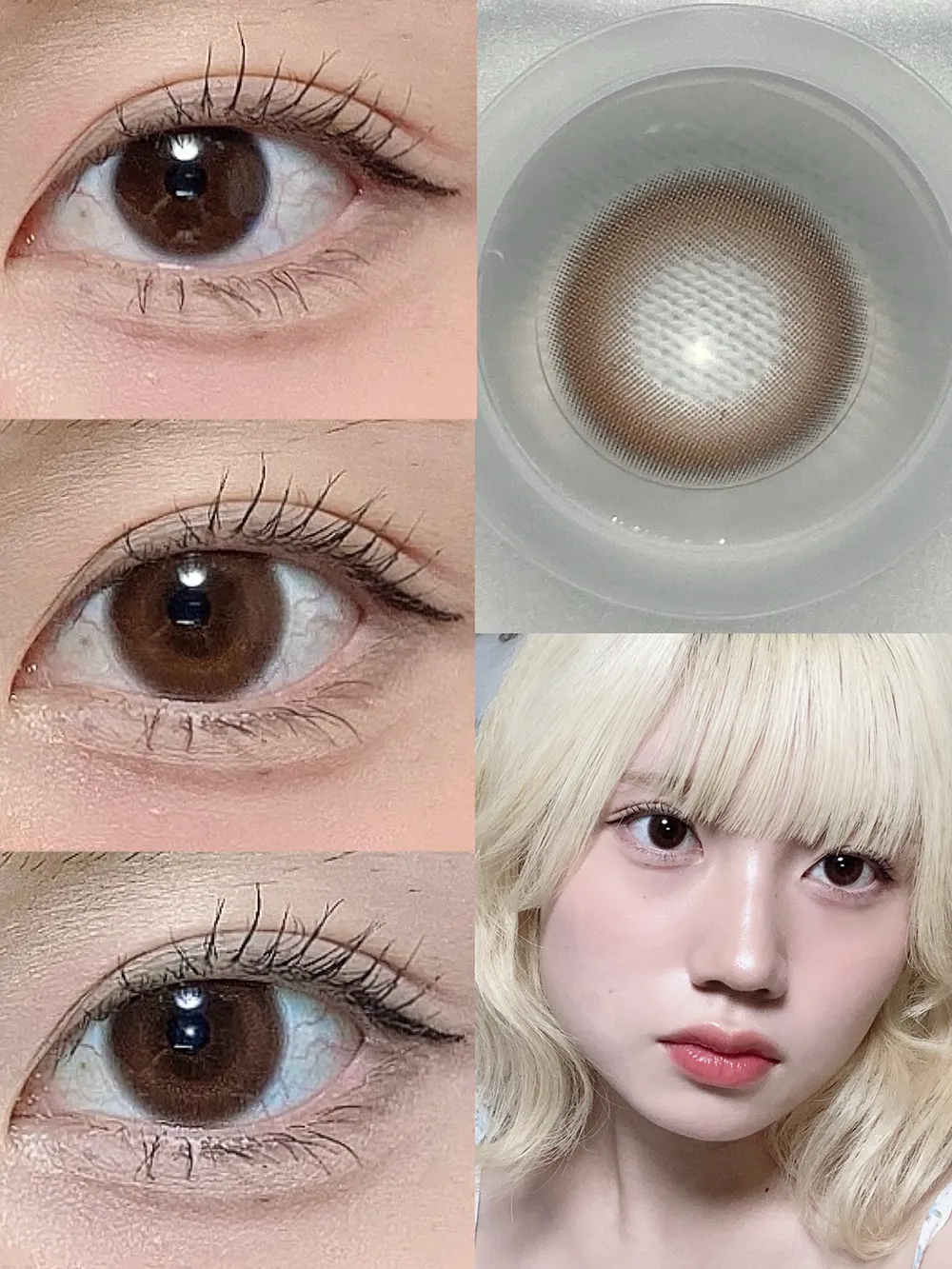 FruFru 1day ノエルブラウン