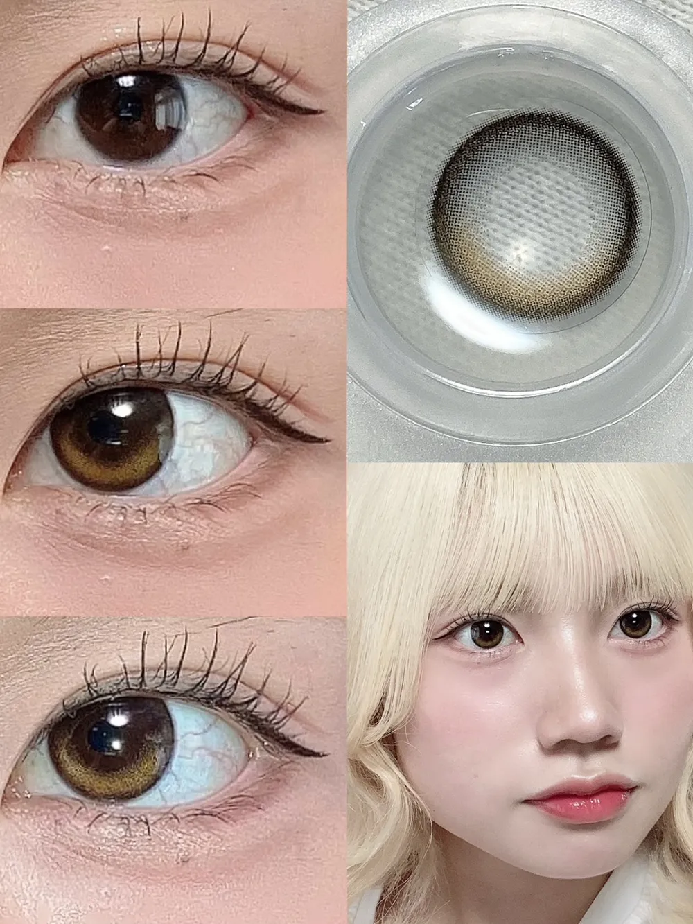 RIARIA 1day リアリーブラウン