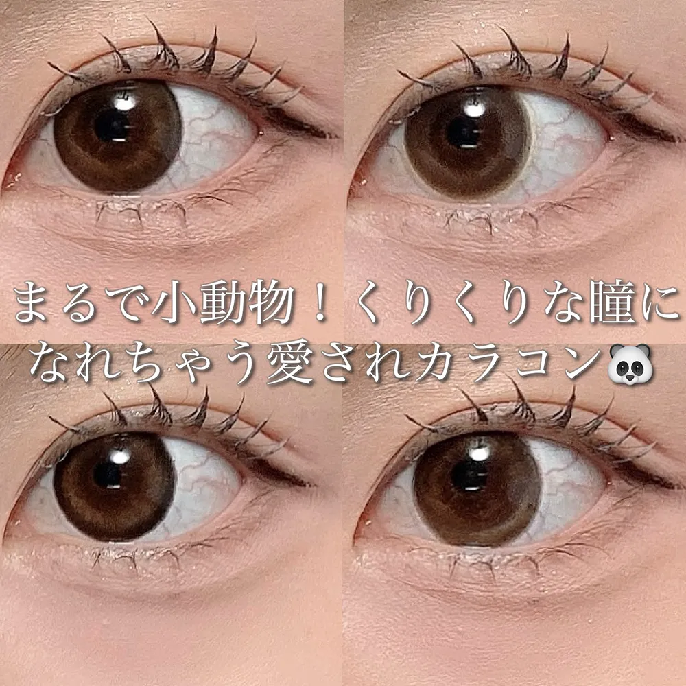 まるで小動物!くりくりな瞳になれちゃう愛されカラコン♡