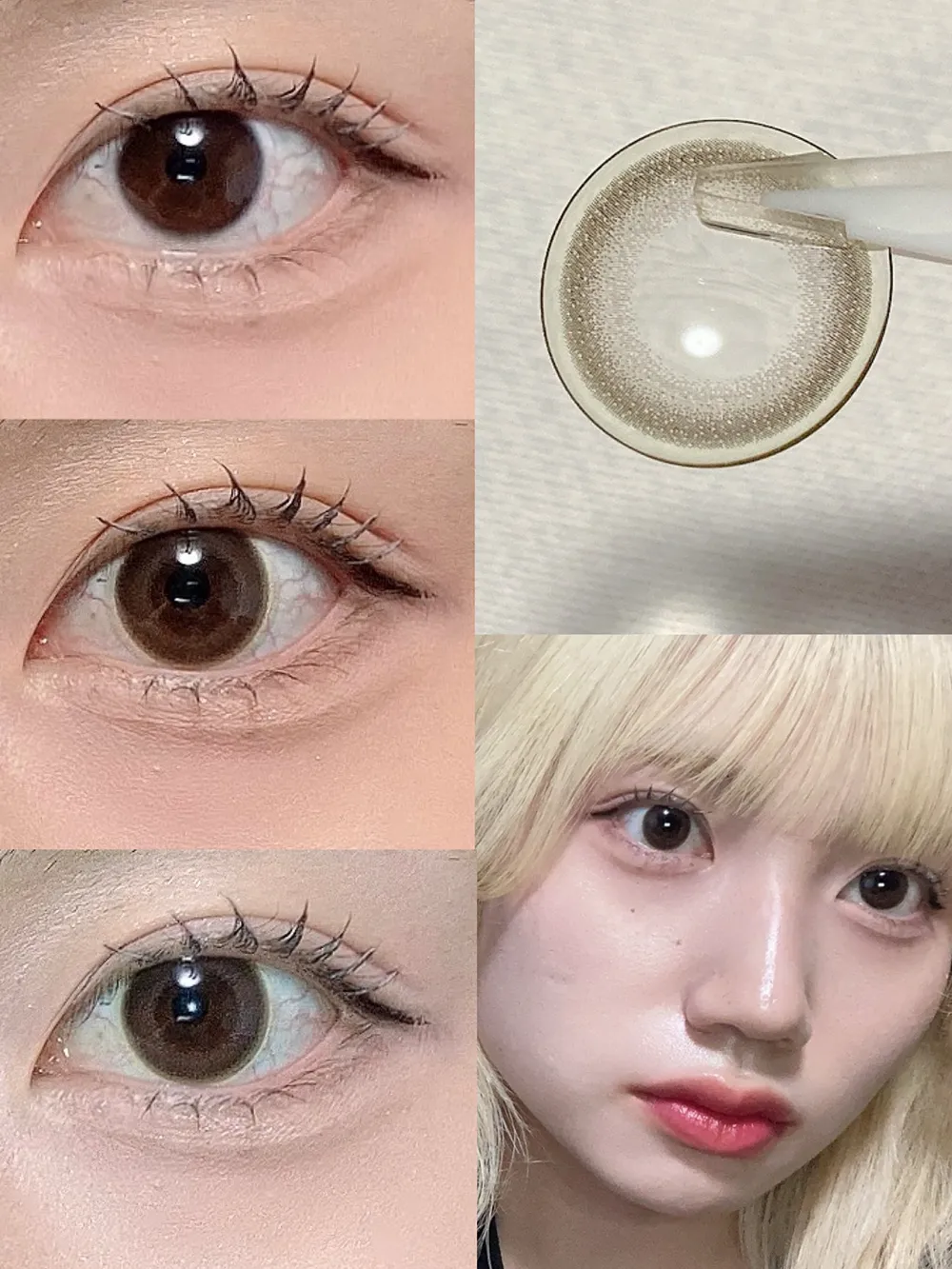 Purity CIRCLE 1day サークルブラウン