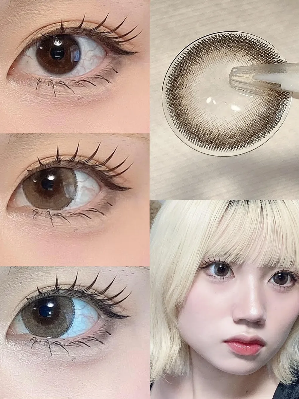 Fabulous 1day(ファビュラス ワンデー) SHEER SABLE シアーセーブル