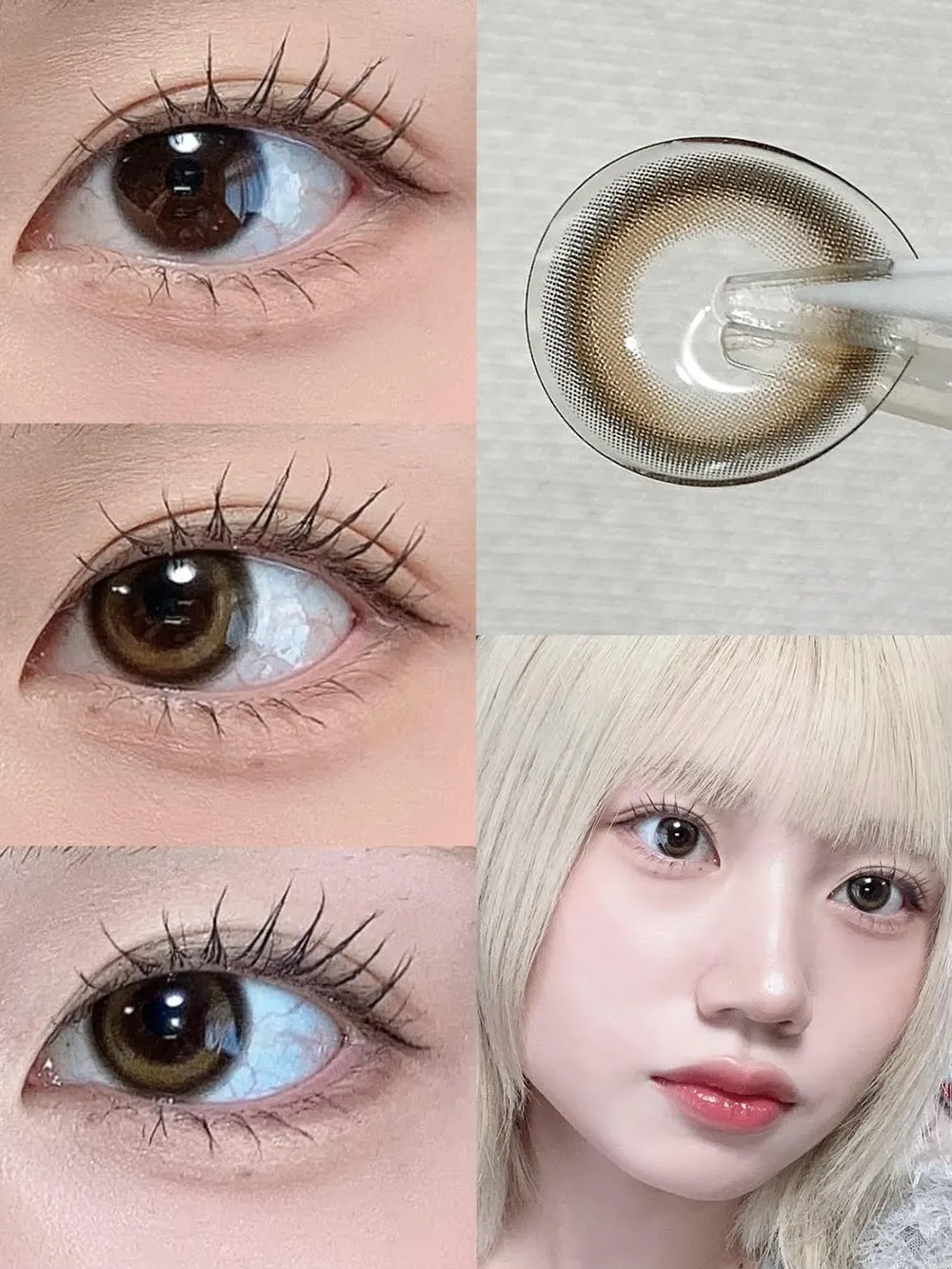 LilMe 1day（リルミィ ワンデー）Dreamy Bear(ドリーミーベア)