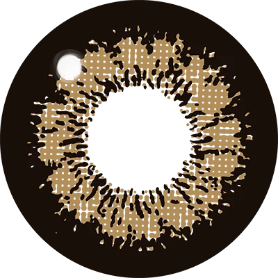 Fabulous 1day キングブラウン レンズ画像