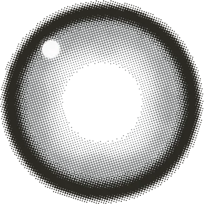 Fabulous 1day メログレー レンズ画像