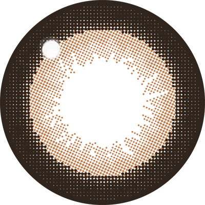 Fabulous 1day NO.3 ブラウン レンズ画像