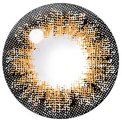 Fabulous 1day NO.6 ブラウン レンズ画像