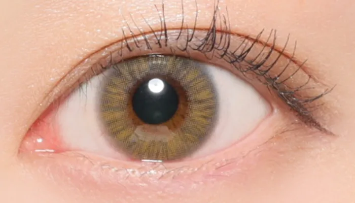 フローズンヘーゼル