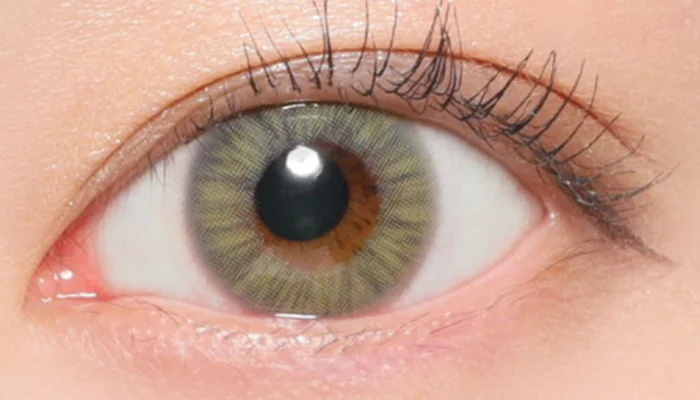 フレッシュライム