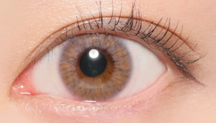 ラベンダーキス