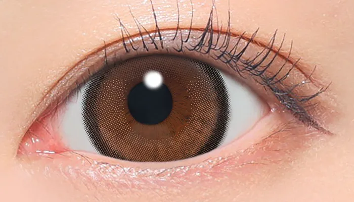 Fabulous 1day バターブラウン 着用画像