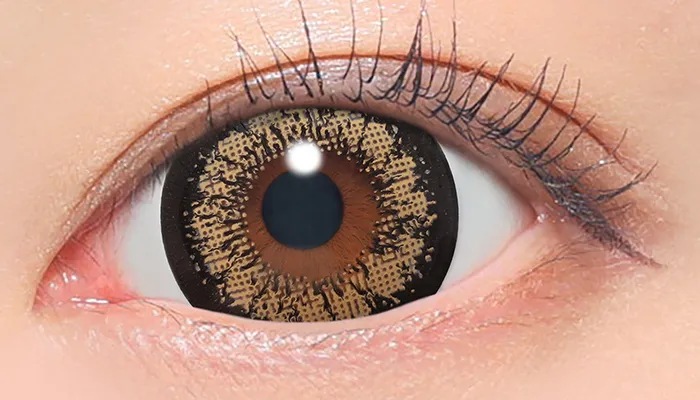 Fabulous 1day キングブラウン 着用画像