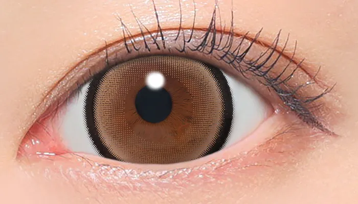 Fabulous 1day メロブラウン 着用画像