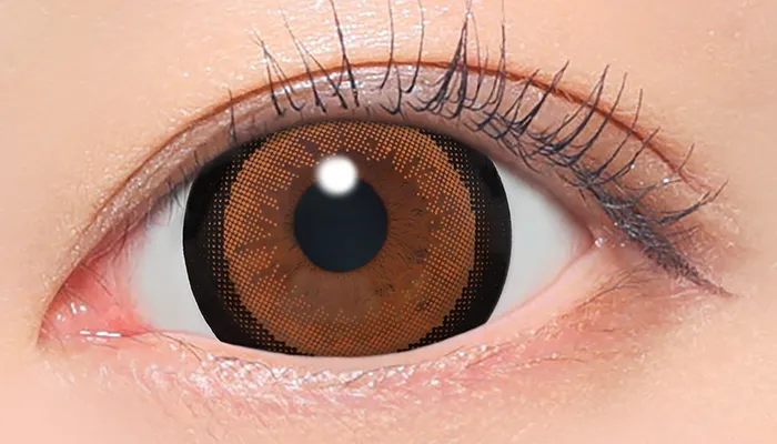 Fabulous 1day NO.3 ブラウン 着用画像