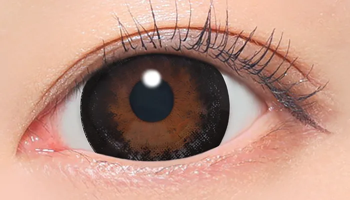 Fabulous 1day NO.5 ブラック 着用画像