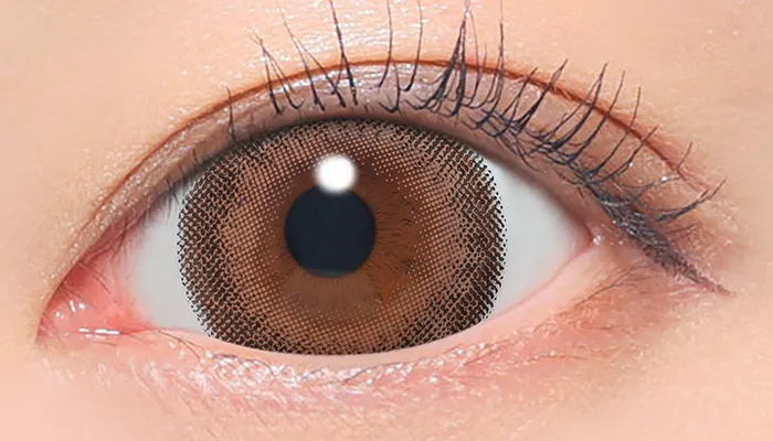 Fabulous 1day シアーセーブル 着用画像