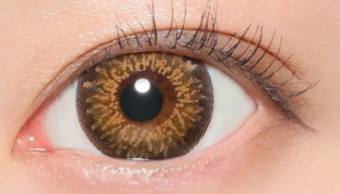 Fabulous 1month ゴシップブラウン 着用画像