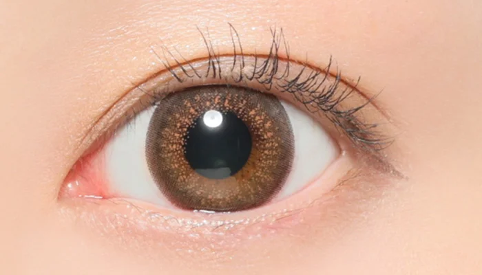 アプリコットタルト着用時