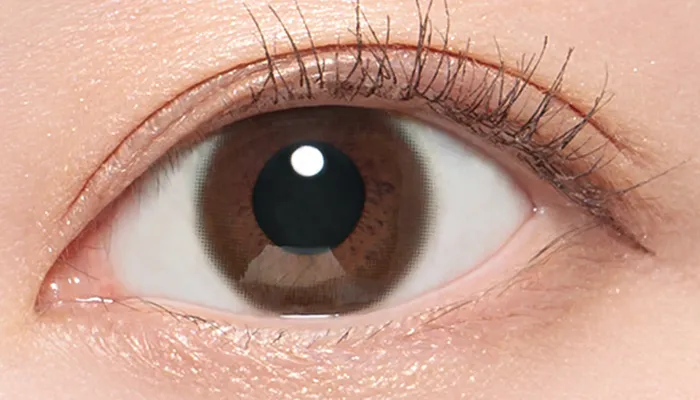 ベーシックバリア