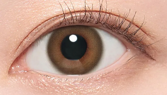 スリークバリア