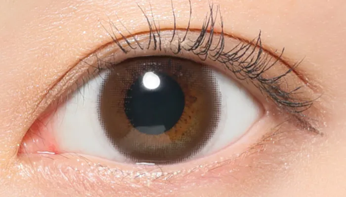 ヌードブラウン