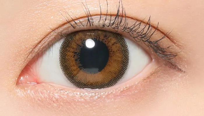 プラリネブラン