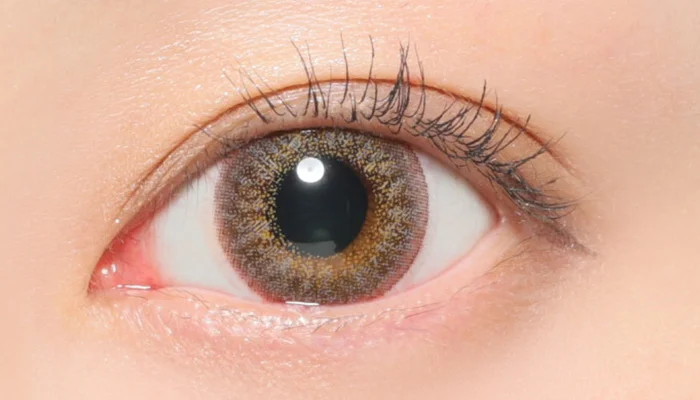 グレージュ着用時