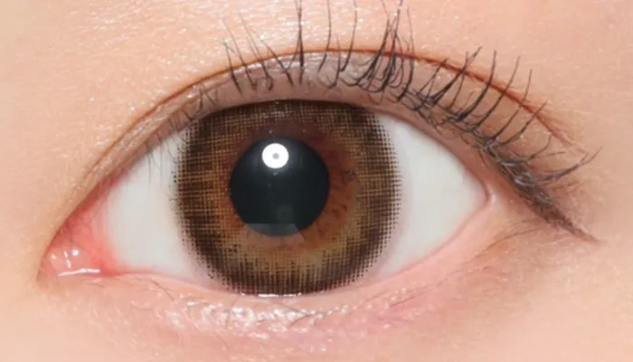 ピュアトレンチ