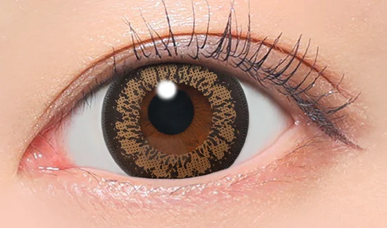 キャンディーマジック マンスリー キングブラウン着用画像