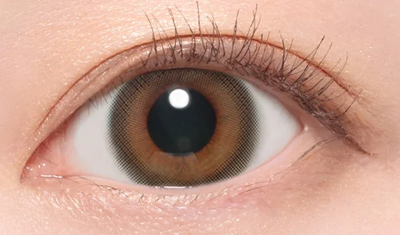 キャンディーマジック マンスリー ルルブラウン着用画像