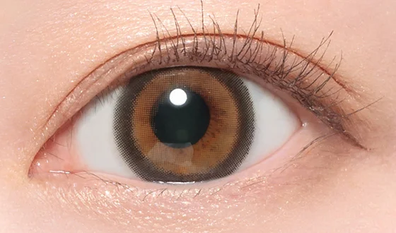 キャンディーマジック マンスリー ミミブラウン着用画像