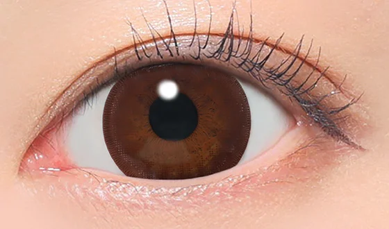 キャンディーマジック ワンデー ビギナーチョコレート着用画像