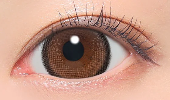 ファビュラス ワンデー バターブラウン着用画像