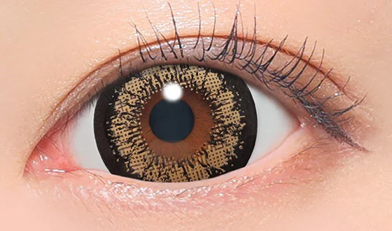 ファビュラス ワンデー キングブラウン着用画像